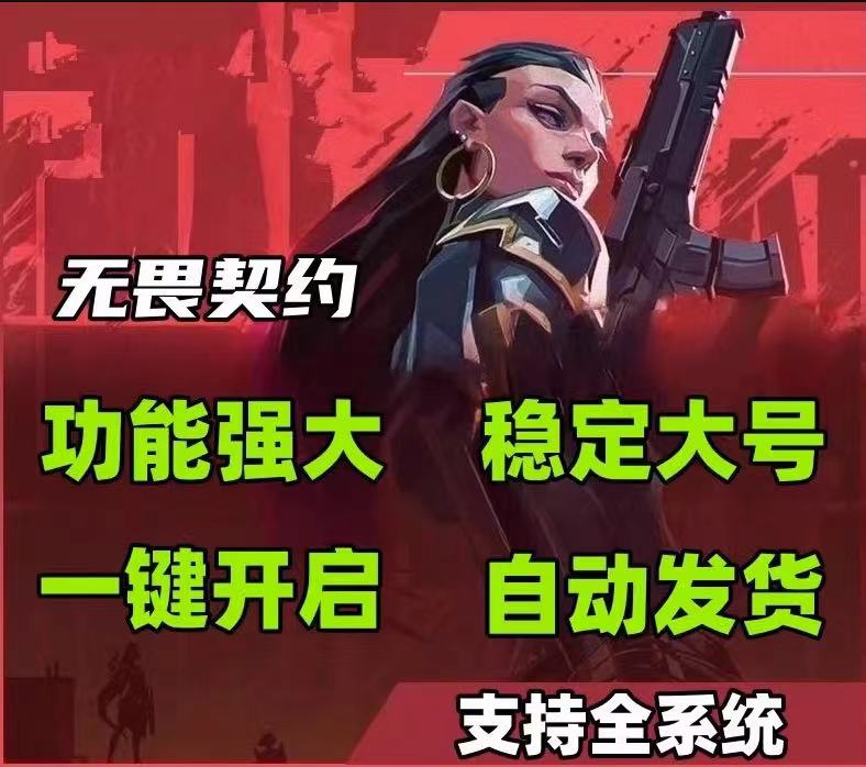 无畏契约开挂模拟器-多端适配骨骼描绘多模式辅助增强版
